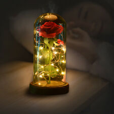 Beauty and the Beast Princess Belle Light Up Enchanted Rose in Glass Dome