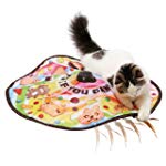 猫壱 キャッチ・ミー・イフ・ユー・キャン2 猫用電動おもちゃ