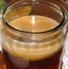 Champignon kombucha (combucha) élevé au thé et sucre bio + liquide de reprise.