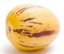 Rarität: 10 Samen Melonenbirne, Pepino (Solanum muricatum), leckeres Naschobst