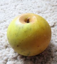 Fruit ancien en albâtre ou marbre peint-Trompe l'oeil.13