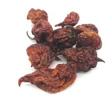 10 Pods Carolina Reaper Chilli Worlds Hottest Chilli 100% Reaper 