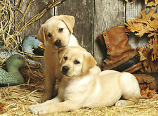 Puzzle Labrador-Welpen, 1500 Teile, Hund, Hündchen, Haus und Hof, Clementoni