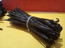   25 g GOUSSES VANILLE NOIR  PREMIUM DE MADAGASCAR-  (16 à 18 cm) -tres bon prix