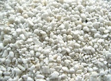 PERLITE ESPANSA PH CONTROLLATO AGRIPERLITE EXPANDED PIANTE CACTUS 10L g
