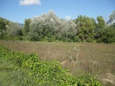 LOCATION TERRAIN AGRICOLE