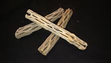 Cholla Wood 6" Piece