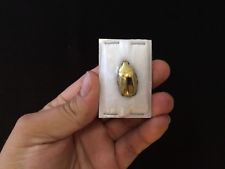 Entomologie insecte Superbe Chrysina Plusiotis resplendens Or A1!! RARE!!