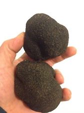 TRUFFES FRAÎCHES-TRUFFE D'AUTOMNE-TRUFFE TUBER UNCINATUM- 100 GRS-