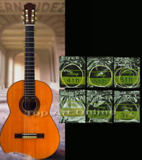 Set/6pcs Jeu De Cordes Cordons Nylon String Guitare Classique Acoustique Fender