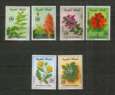 Marokko ** Lot Flora Blumen