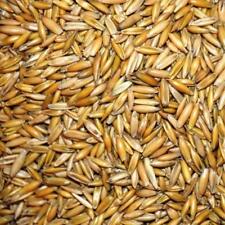 (EUR 0,63/kg) 25kg Pferdehafer, Hafer, Futterhafer, Pferdefutter