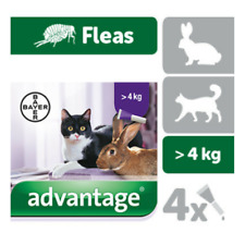 ADVANTAGE 80 ( 0,80ml) x 4 pipettes Ticks and fleas treatment Cat rabbit + 4 kg 