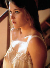 PHOTO SOPHIE MARCEAU /11X15 CM #6