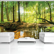 POSTER  TAPETEN FOTOTAPETE WANDBILD TAPETEN WALD NATUR BAUM SONNEN 10513 P8 