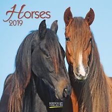 CALENDARIO 2019 da parete CAVALLI cm30x30 KORSCH VERLAG horses