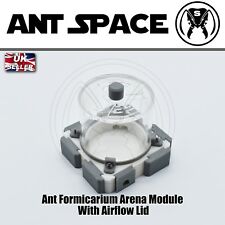Ant Formicarium Arena Module