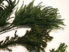 Erica (Erika) Moss 500gr - crafts, florists, Fairy gardens, model railway 