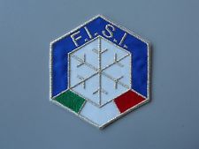 PATCH FISI  RICAMATA ARGENTO TERMOADESIVA CM 8X7- REPLICA 