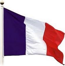 Drapeau France Étendard Français Bleu Blanc Rouge 150 X 90 avec oeuillets