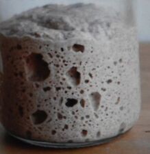 Wharf-San Francisco-Sour Pâte Démarreur Levure About 29.6ml Ml Plus Recettes