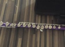 Flute with carry case