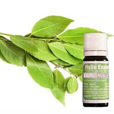 Huile essentielle de Laurier noble certifiée HECT haute qualité 10 ml