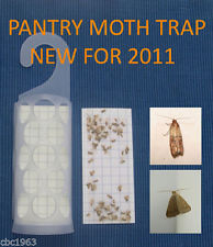  KRITTERKILL-LARDER-PANTRY-INDIAN-MOTH-PHEROMONE-TRAP-OVER-300,000-PADS-SOLD