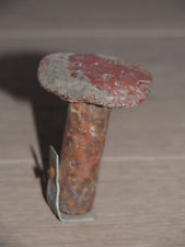 Geocaching kleiner Pilz mit Dose und Logbuch