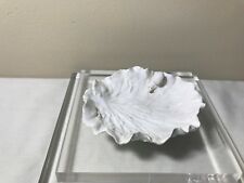 Feuille de choux et escargots ,JP Jourdan , XX°.