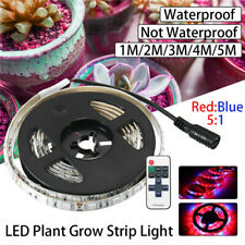 1~5M LED Bande Grow Light Plante Hydroponique Croissance Lampe Culture Lumière
