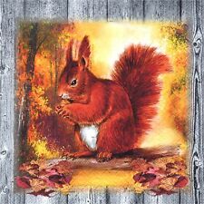 SERVIETTES EN PAPIER ECUREUIL PORTRAIT AUTOMNE. PAPER NAPKINS SQUIRREL AUTUMN