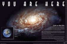 Maxi Poster 91,5 x 61 cm You Are Here