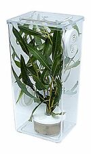 Stick insects/Praying Mantis/Leaf Insect Vivarium,enclosure + Water PoT