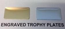ENGRAVED TROPHY PLAQUE Name Plate BRASS SILVER self adhesive label 25mm x 50mm 