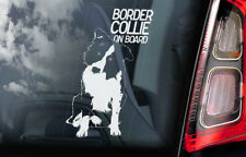 Border Collie à Bord - Vitre Voiture Autocollant- Berger Chien Signe Autocollant