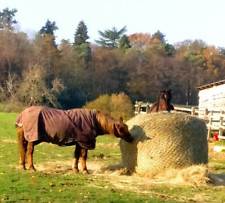 New Round Bale HAY NET HAYLAGE Slow Feeder Small HOLES  5 feet & 6 Feet BALES