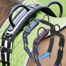 BUSSE Longiergurt Double mit 2 Griffen Longierzubehör Longieren soko_reitsport