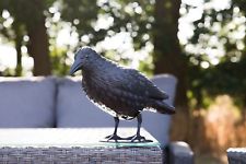 Taubenschreck Vogelscheuche Vogelabwehr Taubenabwehr Vogel Krähe Taube Rabe Set