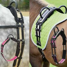 BUSSE Longiergurt Double 2 Griffe oder 1 Griff longieren,voltigieren,Bodenarbeit