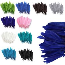 100x Belle Natural Plume d'oie 4''-6''/ 10-15cm Décoration Creatif Artistique
