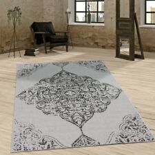 In- & Outdoor Teppich Vintage Design Ornamente Paisley Muster Elegant In Grau 