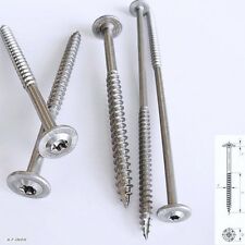  Tellerkopfschrauben Holzschrauben Edelstahl VA Tellerkopfschraube Tellerkopf 