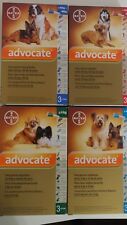 ADVOCATE Antiparasitaires Spot On chiens / dogs S M L XL - 3 Pipettes poux/puces