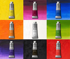 Winsor & Newton Winton Oil Paint 37ml & 200ml Tubes - All Colours Available
