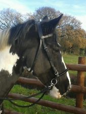 *NEW*Side Pull attachment to change a normal bridle into a bitless bridle*NEW*